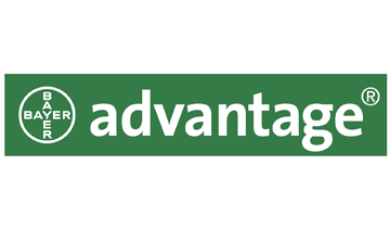 Advantage