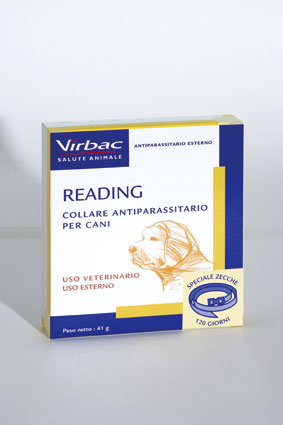 Reading*coll marr cane 41g