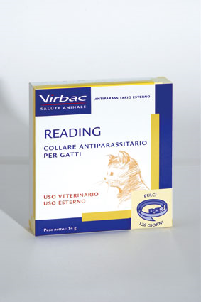 Reading*coll marr gatto 14g