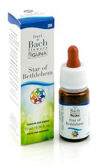 Star of beth gun gtt 10ml