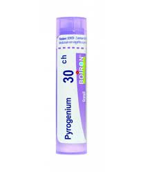 Pyrogenium 30ch gr