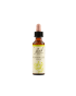 Honeysuckle bach original 20ml