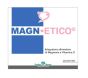 Gse magnetico 32 bustine