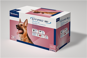 Effipro duo*spoton 24pip gr