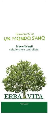 Erba Vita Argilla Verde Superventilata UI 300g 