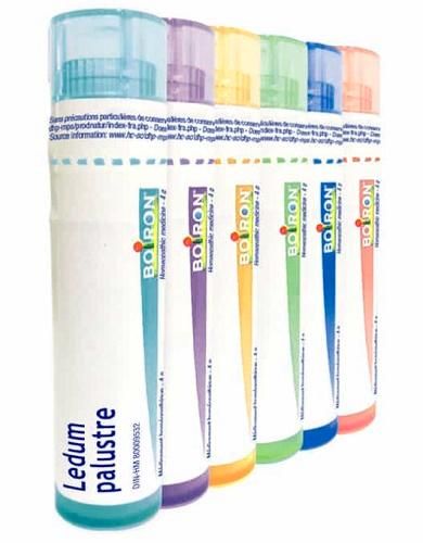 Ledum palustre 9ch gr