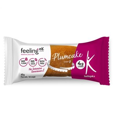 Feeling Ok Plumcake Vaniglia/Limone 45g