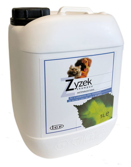 Zyzek shampoo ant*fl pe 5lt