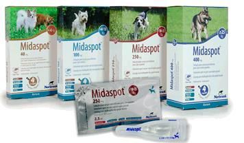 Midaspot*spoton 4pip 250mg