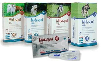 Midaspot*spoton 4pip 400mg