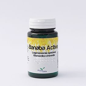 Banaba active 17g 60cps pyt