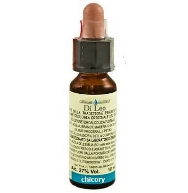 Chicory 10ml leo