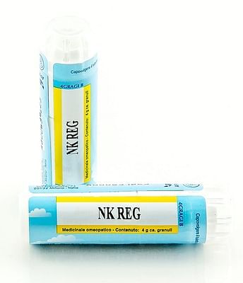 Nk reg 4g gun