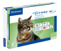 Effipro duo*spoton 4pip gatti