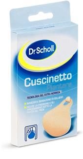 Party feet cusc plant