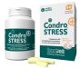 Condrostress + 90cpr mastic