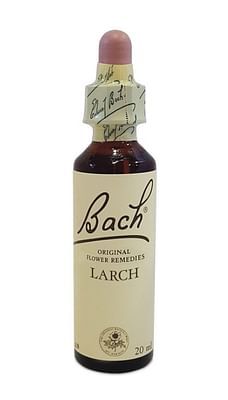 Bach cen.ess ch/pl20ml ntu