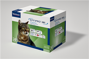 Effipro duo*spoton 24pip gatti