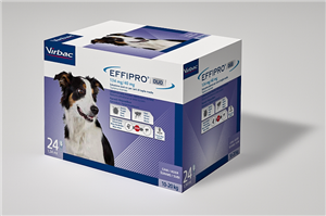 Effipro duo*spoton 24pip med
