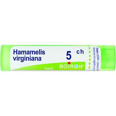 Hamamelis vi. 5ch 4g boi