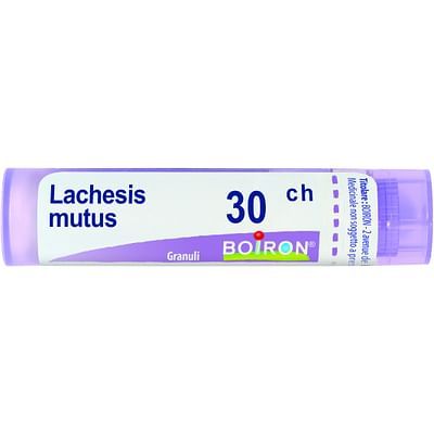 Lachesis mu. 9ch 4g boi