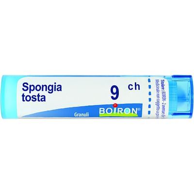 Spongia tosta 5ch 4g boi