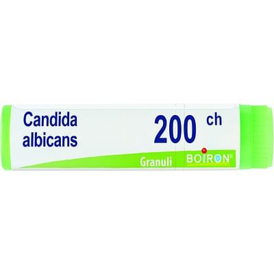Candida alb. 200ch 1g boi