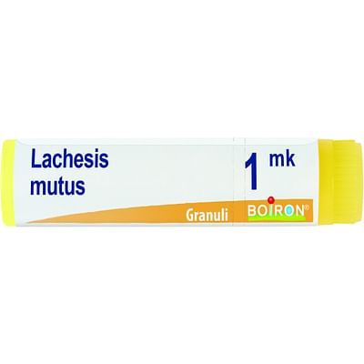 Lachesis mu. mk 1g boi