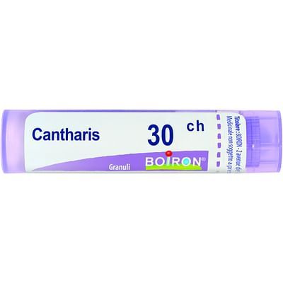 Cantharis 15ch 4g boi