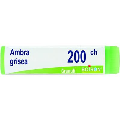 Ambra grisea 15ch 4g boi