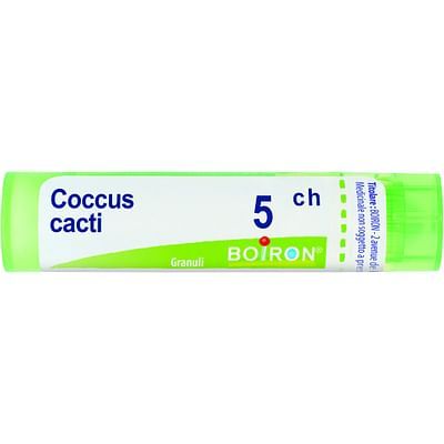 Coccus cacti 9ch 4g boi