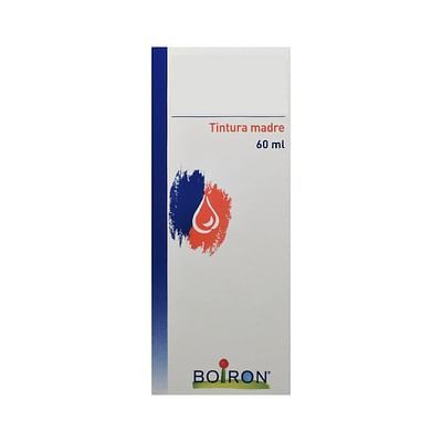 Betula alba tm 60ml boi