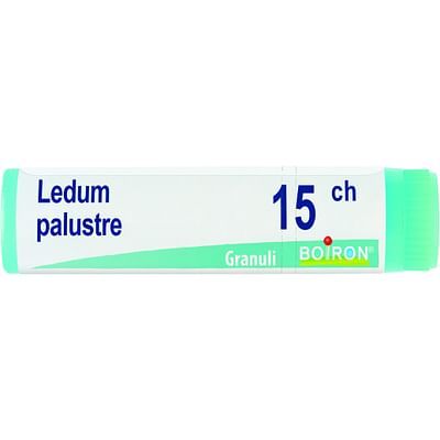 Ledum palustre 30ch gr