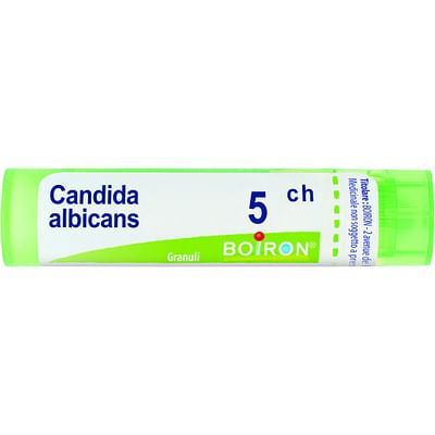 Candida alb. 5ch 4g boi