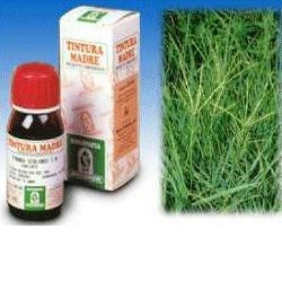Agropyrum repens 50ml tm