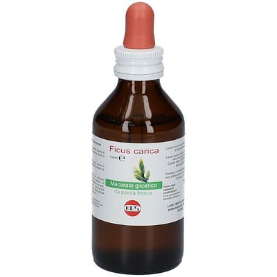 Ficus carica 50ml mg