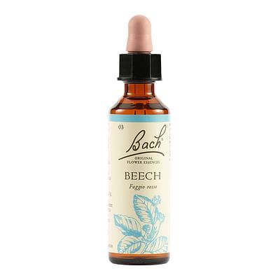 Beech bach orig 10ml prep