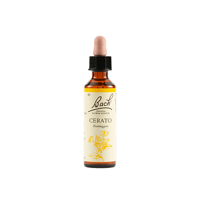 Cerato bach orig 10ml prep