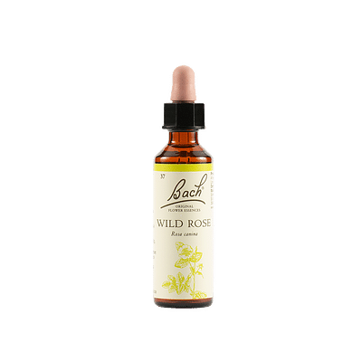 Wild rose bach orig 10ml prep