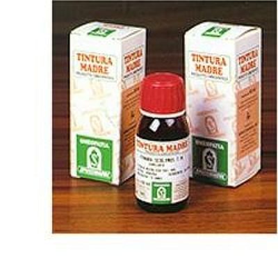 Pilosella tm 50ml spc