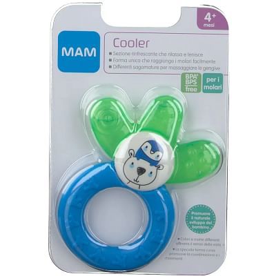 Mam cooler dentaruolo 4+