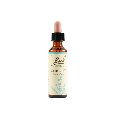 Chicory bach original 20ml