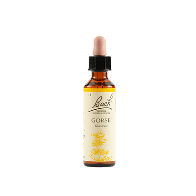 Gorse bach original 20ml