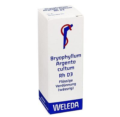 Bryophyllum argento cultum rh 3dh gtt 20ml wld
