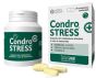 Condro stress+ 60 compresse masticabili