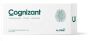 Cognizant 10fl