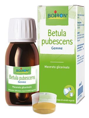 Betula pubescens 50ml mg