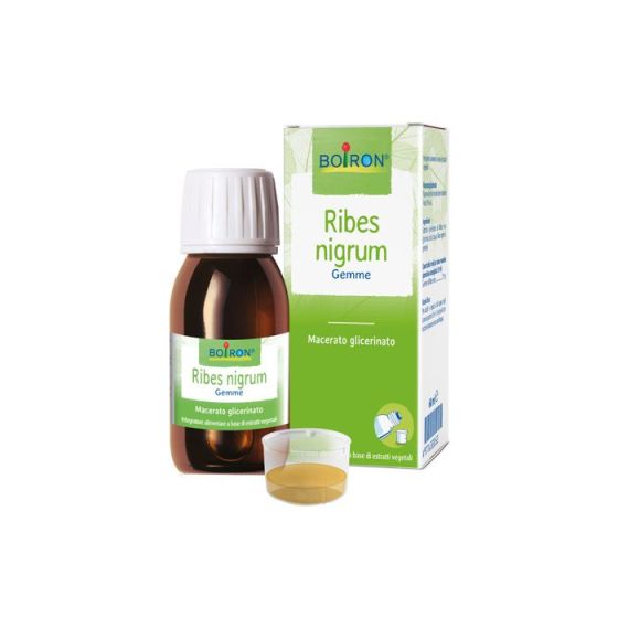 Boiron ribes nigrum macerato glicerinato 60ml