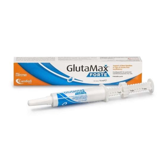 Glutamax forte pasta 15ml