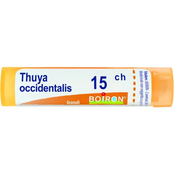 Thuya occident 15ch gr